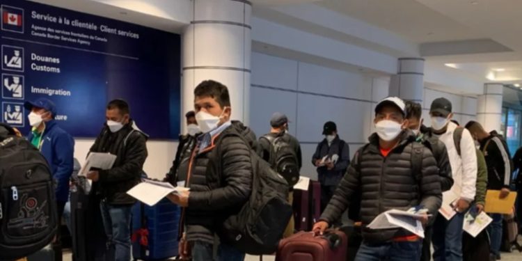 Aumentan las denuncias de estafas con visas temporales de trabajo: más de 400 casos reportados