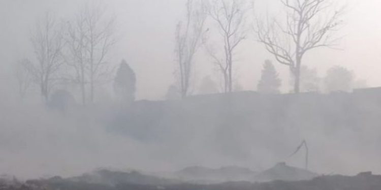 Aumento de enfermedades respiratorias por mala calidad del aire debido a incendios forestales
