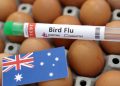 Australia cierra granjas a medida que se propaga la gripe aviar