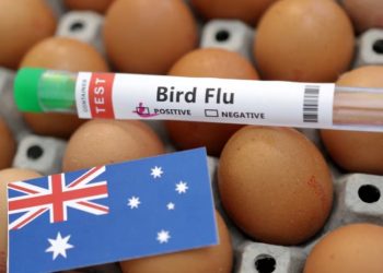 Australia cierra granjas a medida que se propaga la gripe aviar