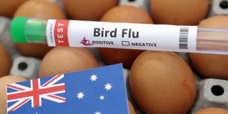 Australia cierra granjas a medida que se propaga la gripe aviar