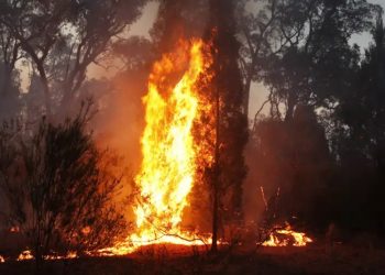 Australia evacua a 30.000 personas por incendios forestales