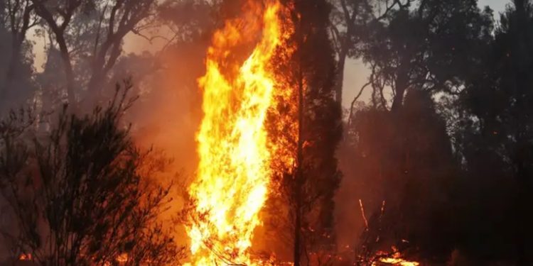 Australia evacua a 30.000 personas por incendios forestales