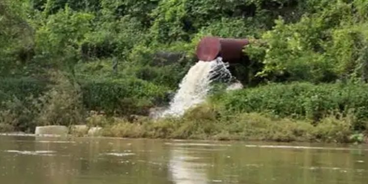 Autoridades ambientales investigan licencias falsificadas: posible corrupción