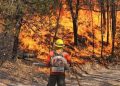 Autoridades califican como exitosa la campaña contra incendios forestales en 2025