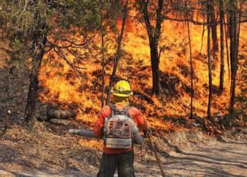 Autoridades califican como exitosa la campaña contra incendios forestales en 2025