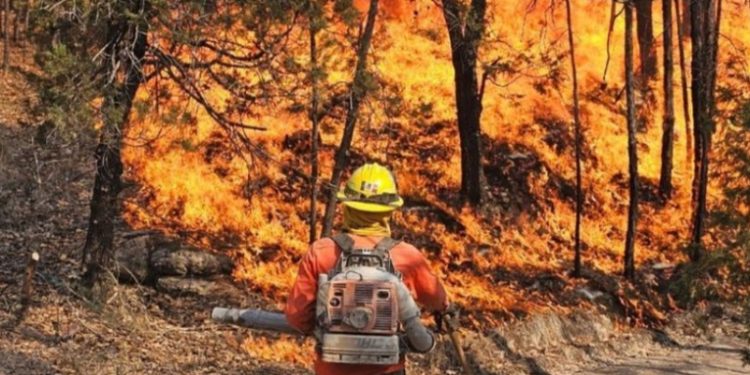 Autoridades califican como exitosa la campaña contra incendios forestales en 2025
