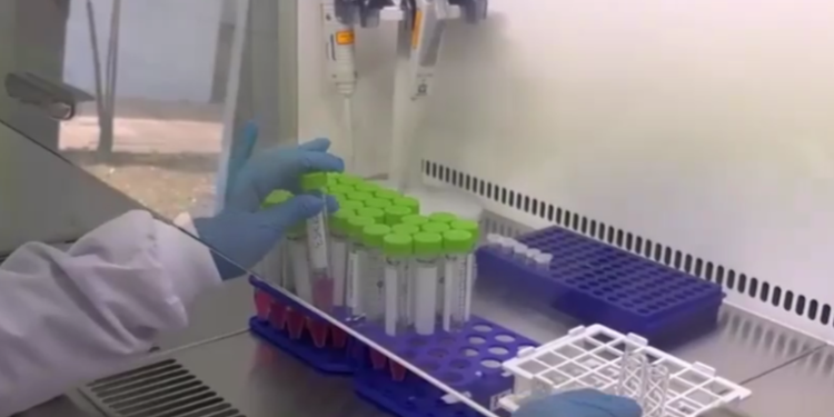 Autoridades de salud revelan la existencia de nueva cepa de COVID 19-en el paí­s