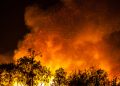 Autoridades logran sofocar 16 incendios forestales