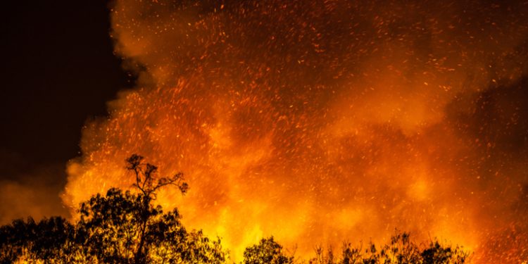 Autoridades logran sofocar 16 incendios forestales