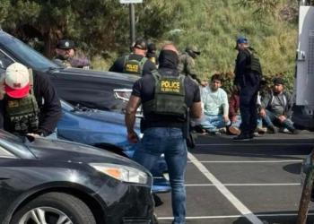 Autoridades migratorias detienen a 11 guatemaltecos en operativo en EE. UU.