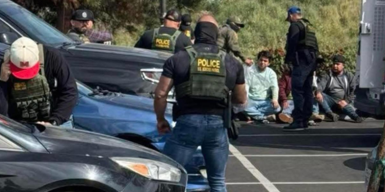 Autoridades migratorias detienen a 11 guatemaltecos en operativo en EE. UU.