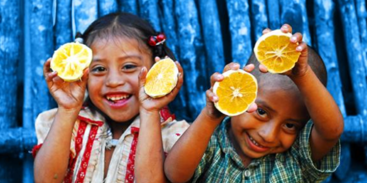 Autoridades presentan informe de programa temporal de apoyo alimentario