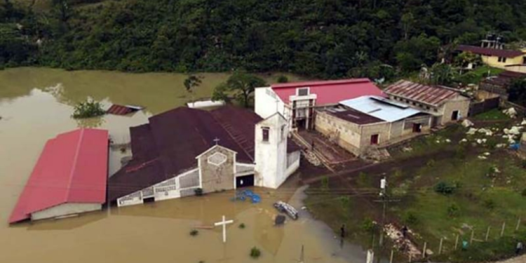 Autoridades recomiendan a familias afectadas por lluvias no consumir animales muertos