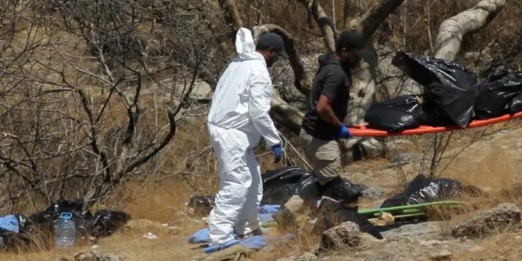 Autoridades recuperan 24 cadáveres de fosa en México