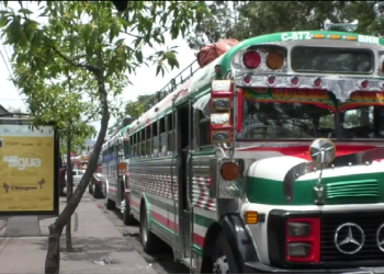 Autoridades Revelan Problemas en Procesos de la Dirección General de Transportes