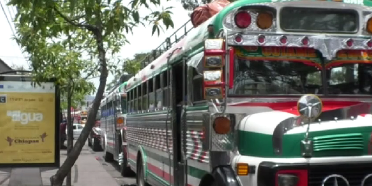Autoridades Revelan Problemas en Procesos de la Dirección General de Transportes