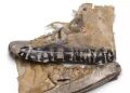 Balenciaga presenta nuevo modelo de tenis rotos y sucios por 1.850 dólares