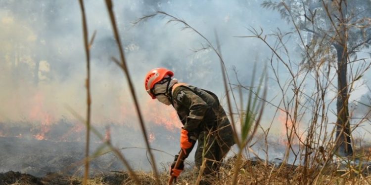 Capacitación agrícola busca reducir riesgos de incendios forestales durante la temporada seca