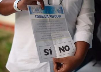 Blanca Alfaro explica que una consulta popular requeriría 90 días de preparación logística