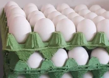 Bloqueos en carreteras amenazan con provocar falta de huevos y pollo