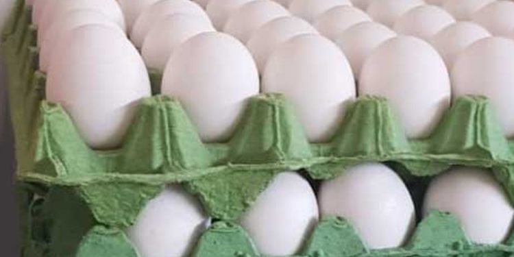 Bloqueos en carreteras amenazan con provocar falta de huevos y pollo