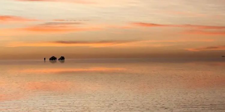 Bolivia inaugura su primera planta de carbonato de litio