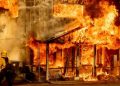 Bomberos de EE. UU. luchan por controlar incendios forestales en medio ola de calor