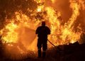 Bomberos en lucha cuerpo a cuerpo contra incendio en isla griega de Eubea