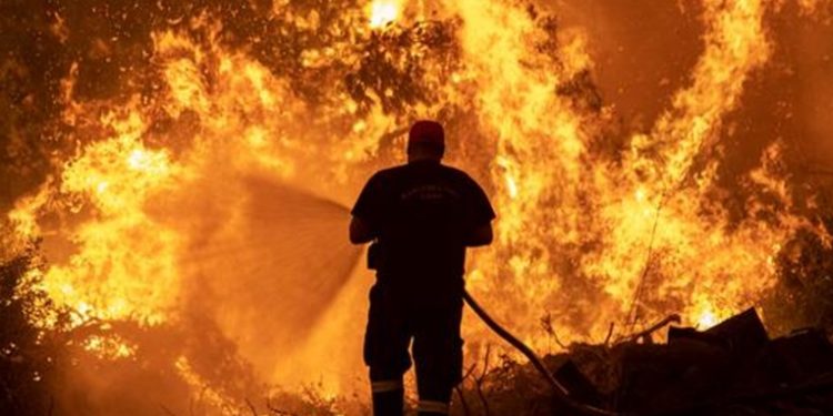 Bomberos en lucha cuerpo a cuerpo contra incendio en isla griega de Eubea