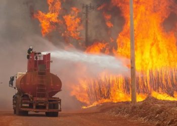 Bomberos luchan con incendio en reserva natural de Brasilia