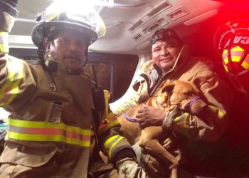 Bomberos rescatan a un perro que se encontraba a 350 metros de profundidad en barranco