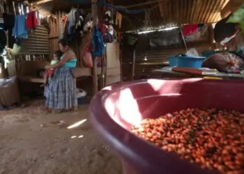 Bono de Q1,000 para familias vulnerables aún no ha sido entregado, confirman autoridades