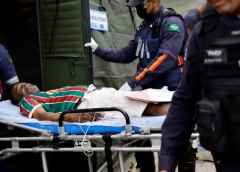 Brasil cerró 2024 con récords en casos y muertes por dengue