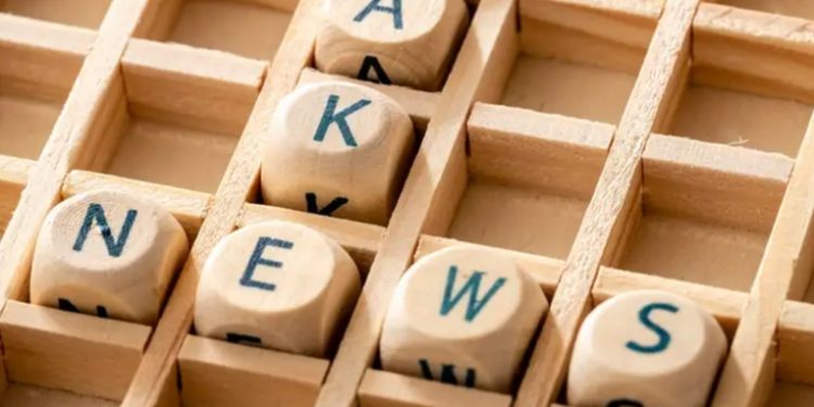 Brasil: jefa de corte electoral contra mentiras en redes