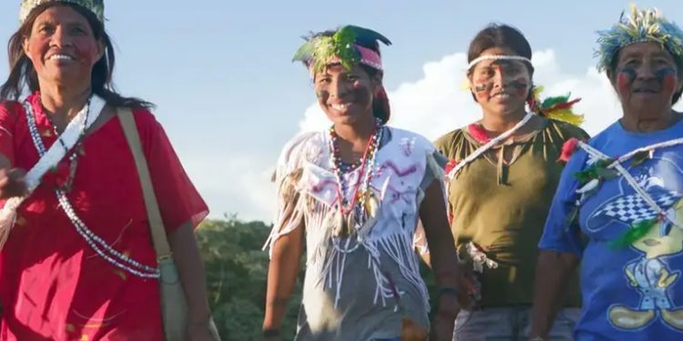 Brasil pide perdón a pueblos indígenas por persecución