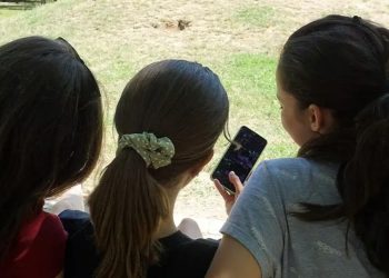 Brasil prohíbe los celulares en las escuelas y colegios