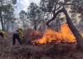 Brigadas de emergencia luchan contra 14 focos de incendios forestales, revela Conred