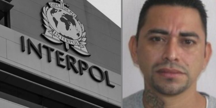 Buscan a Wilfredo Hernández Barrios, alias 'El Duende', con alerta roja internacional
