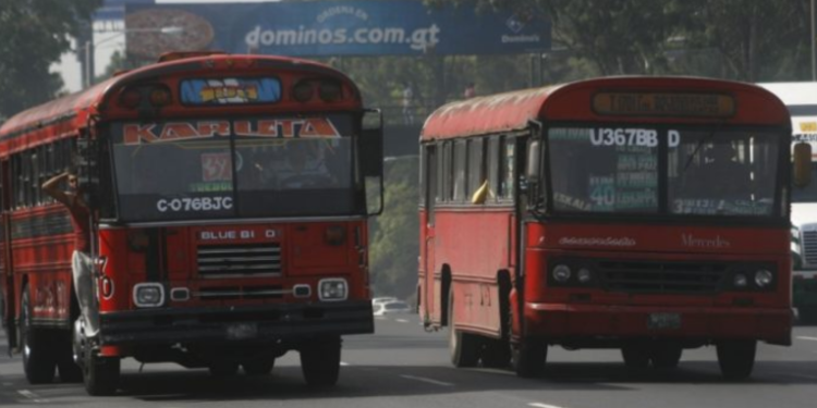 Buses rojos no circularán hasta cumplir con protocolos sanitarios