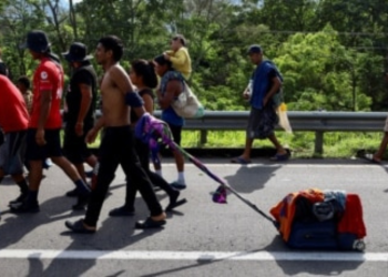 Caen considerablemente las entradas ilegales por la frontera sur de EEUU