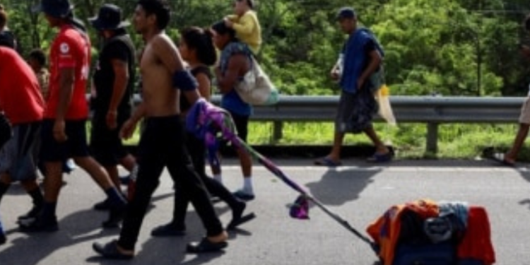 Caen considerablemente las entradas ilegales por la frontera sur de EEUU