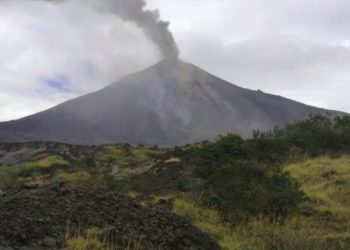 Caí­da de ceniza provoca daños en la agricultura