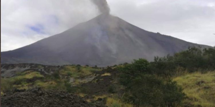 Caí­da de ceniza provoca daños en la agricultura