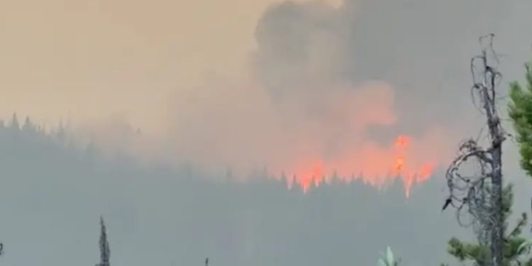 Canadá: incendio forestal comienza a destruir zona turística