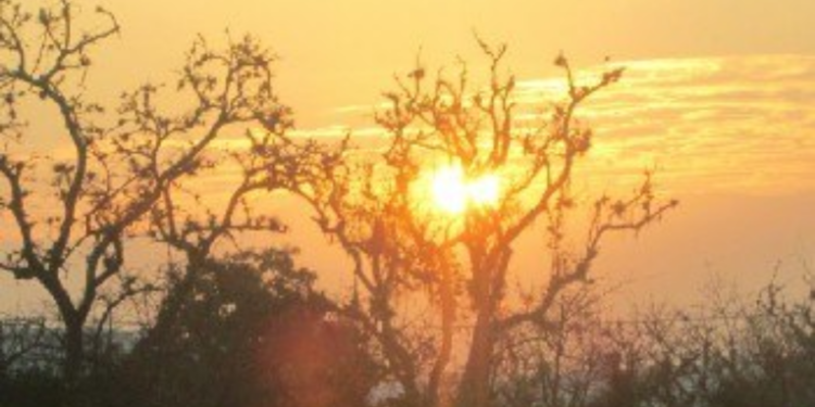 Caní­cula en Guatemala serí­a a mediados de julio según el INSIVUMEH