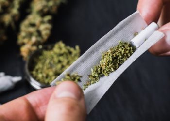 Cannabis: Â¿se aproxima la legalización en Alemania?