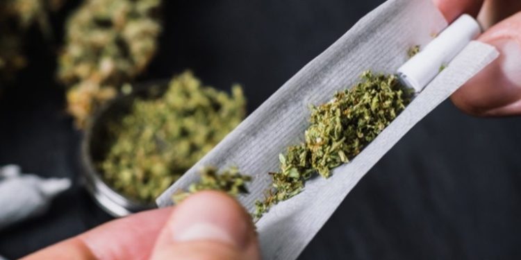 Cannabis: ¿se aproxima la legalización en Alemania?