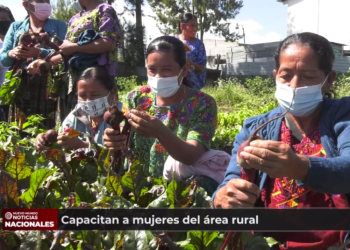 Capacitan a mujeres del área rural