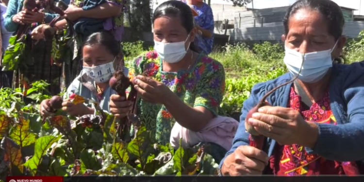 Capacitan a mujeres del área rural